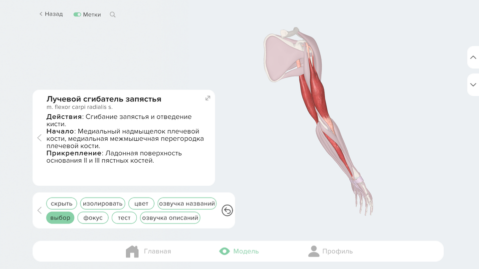 Режим множественного выбора