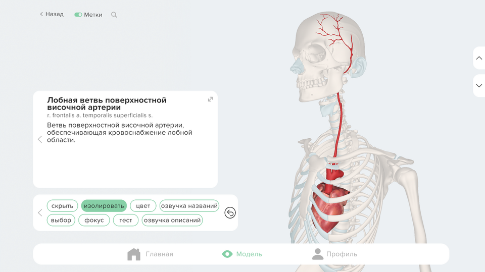 Режим изоляции