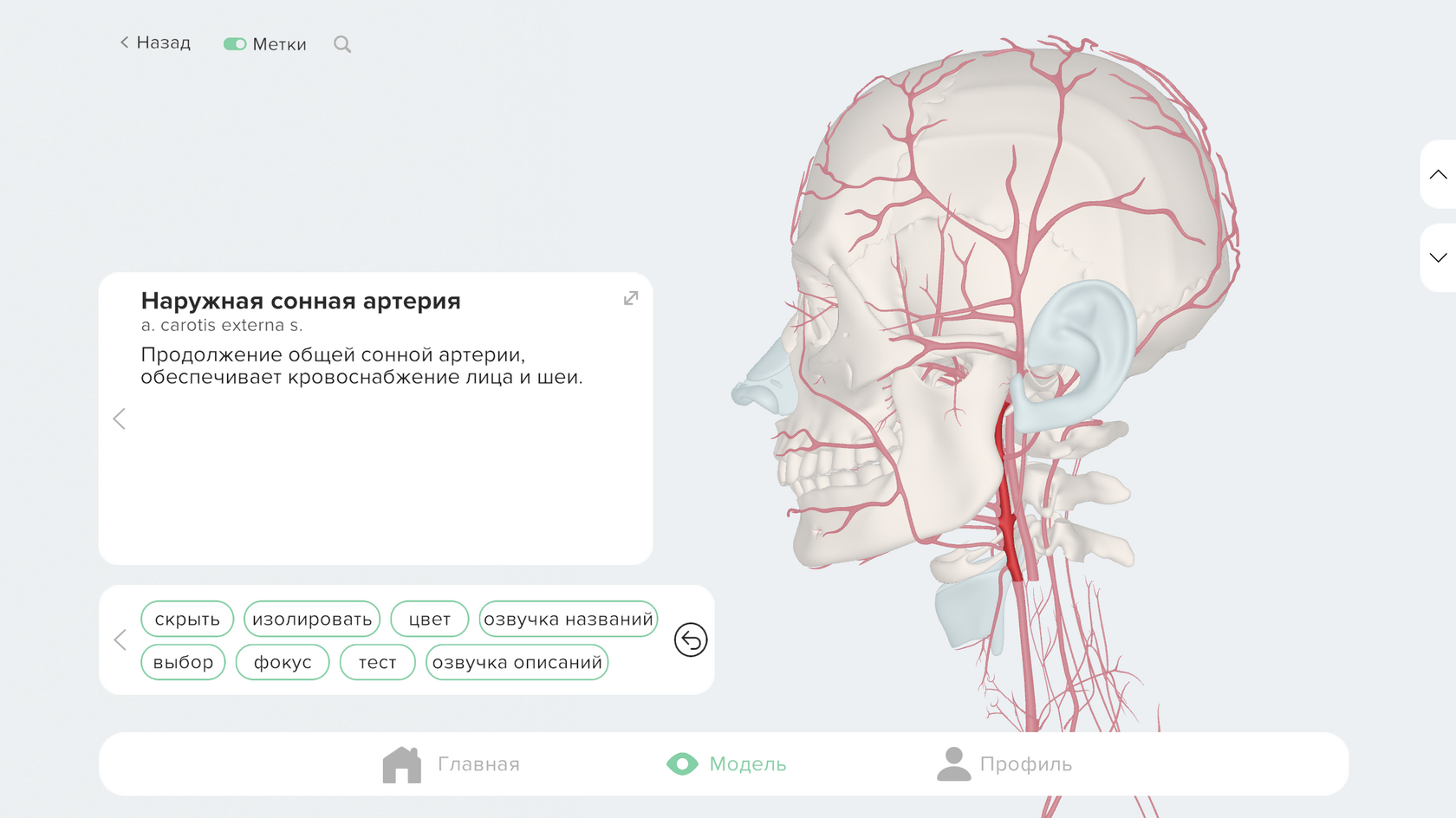 Поиск элементов — результат на модели