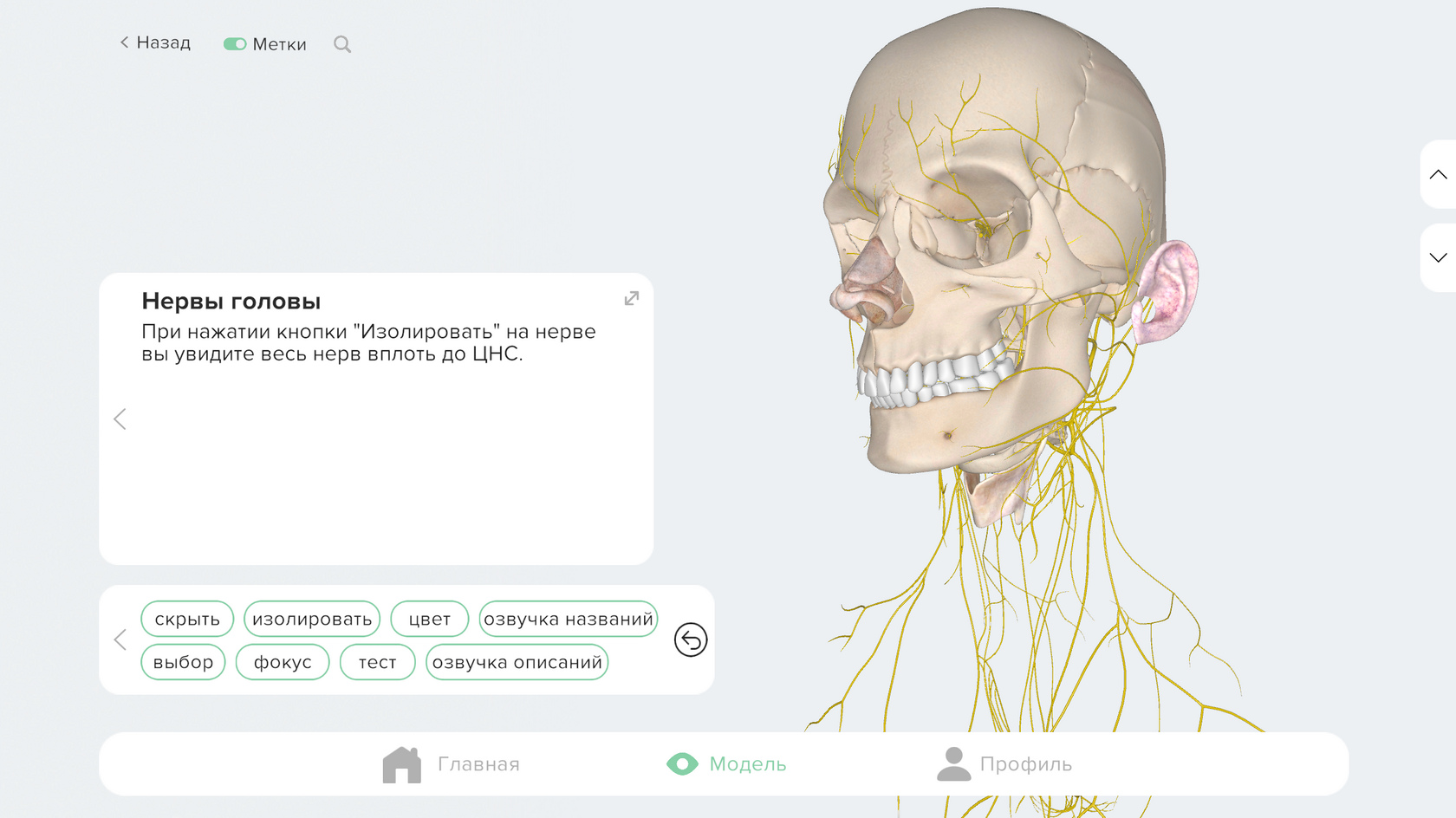 Умный выбор — выключен