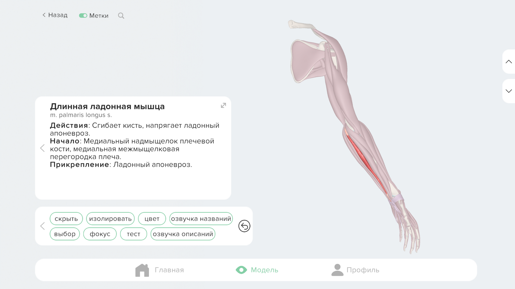 Умный выбор — результат